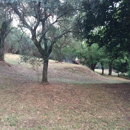 Casa Oliveto Villa Camaiore Dış mekan fotoğraf