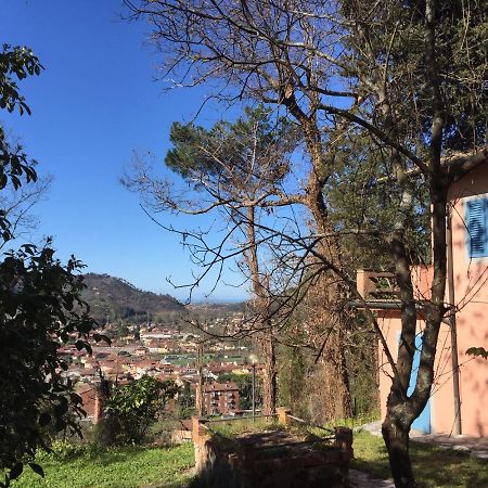 Casa Oliveto Villa Camaiore Dış mekan fotoğraf