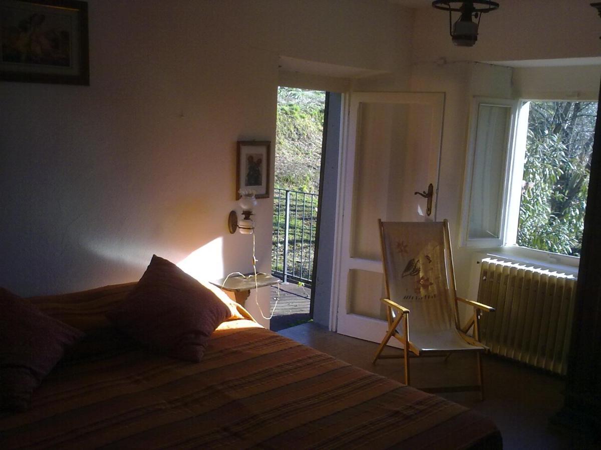 Casa Oliveto Villa Camaiore Dış mekan fotoğraf