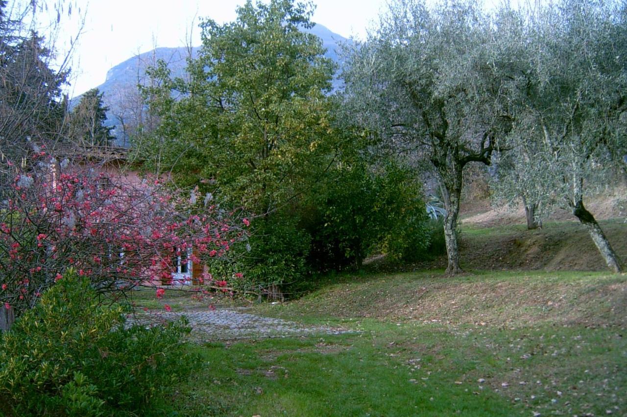 Casa Oliveto Villa Camaiore Dış mekan fotoğraf
