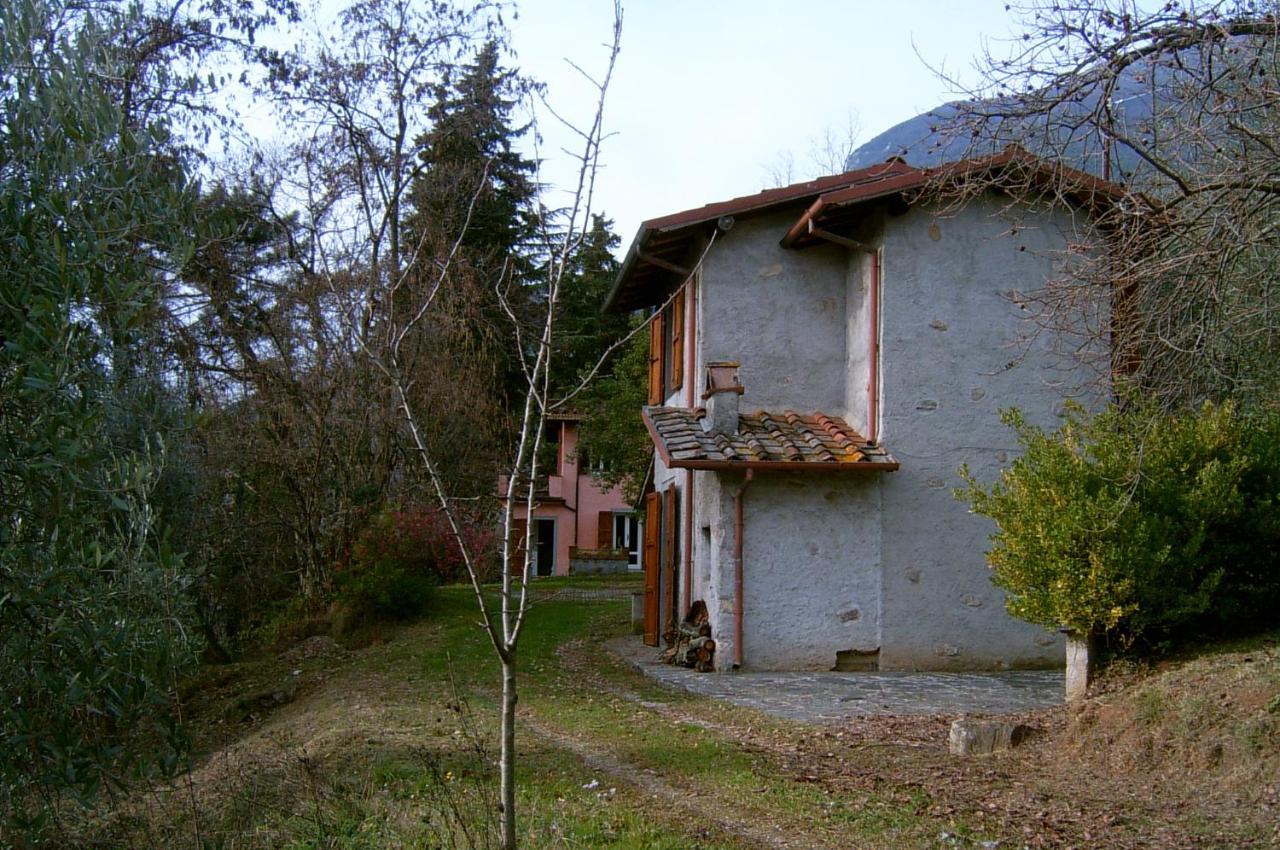 Casa Oliveto Villa Camaiore Dış mekan fotoğraf
