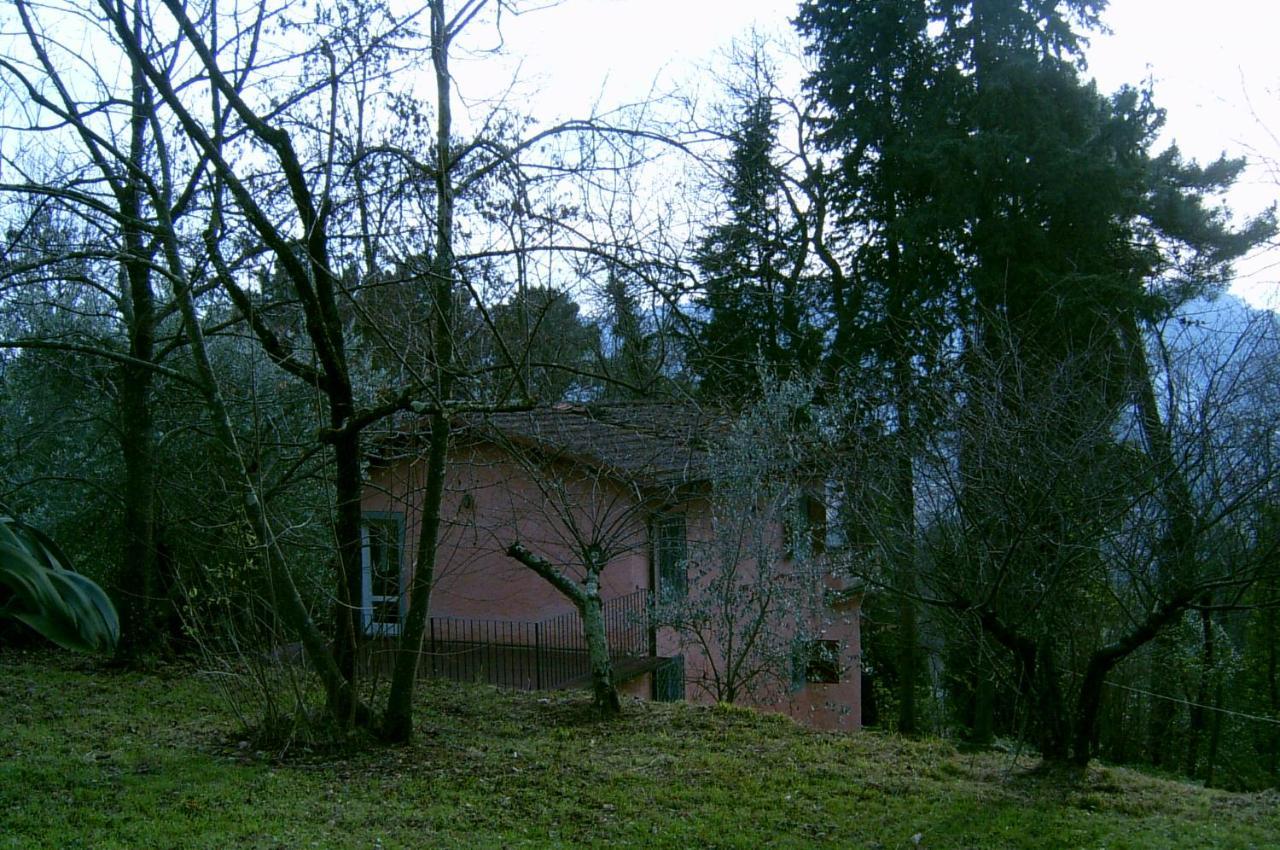Casa Oliveto Villa Camaiore Dış mekan fotoğraf