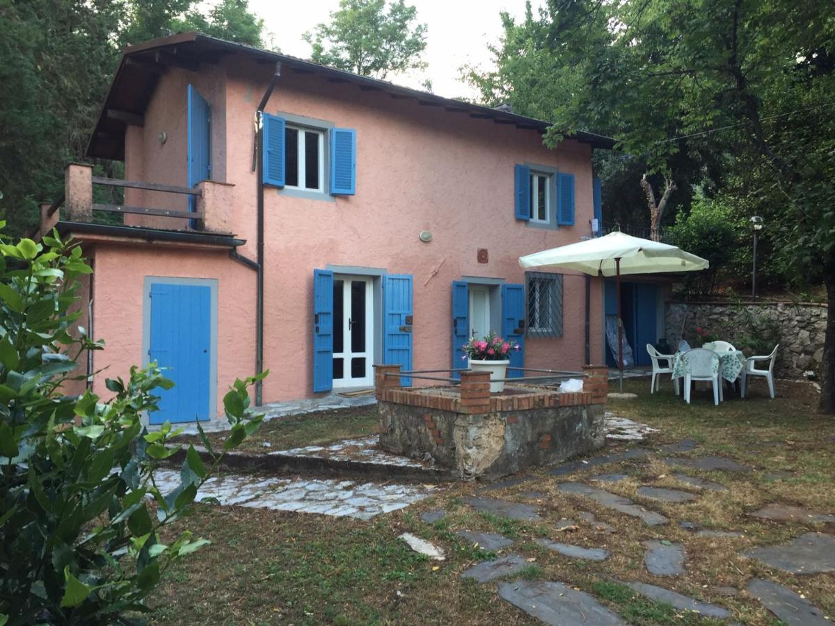 Casa Oliveto Villa Camaiore Dış mekan fotoğraf