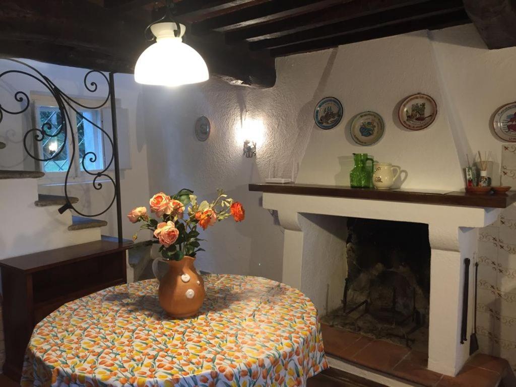 Casa Oliveto Villa Camaiore Dış mekan fotoğraf