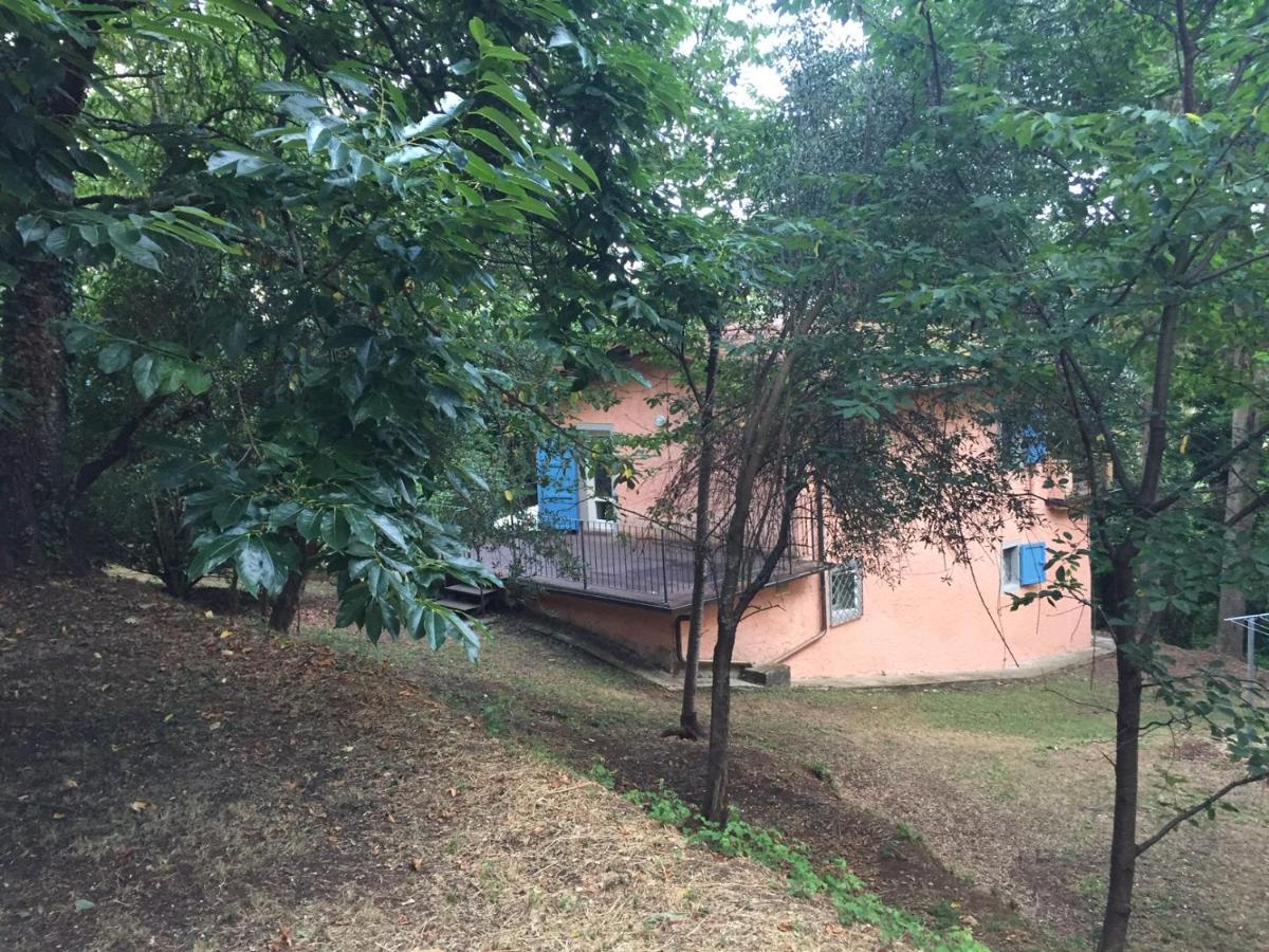 Casa Oliveto Villa Camaiore Dış mekan fotoğraf