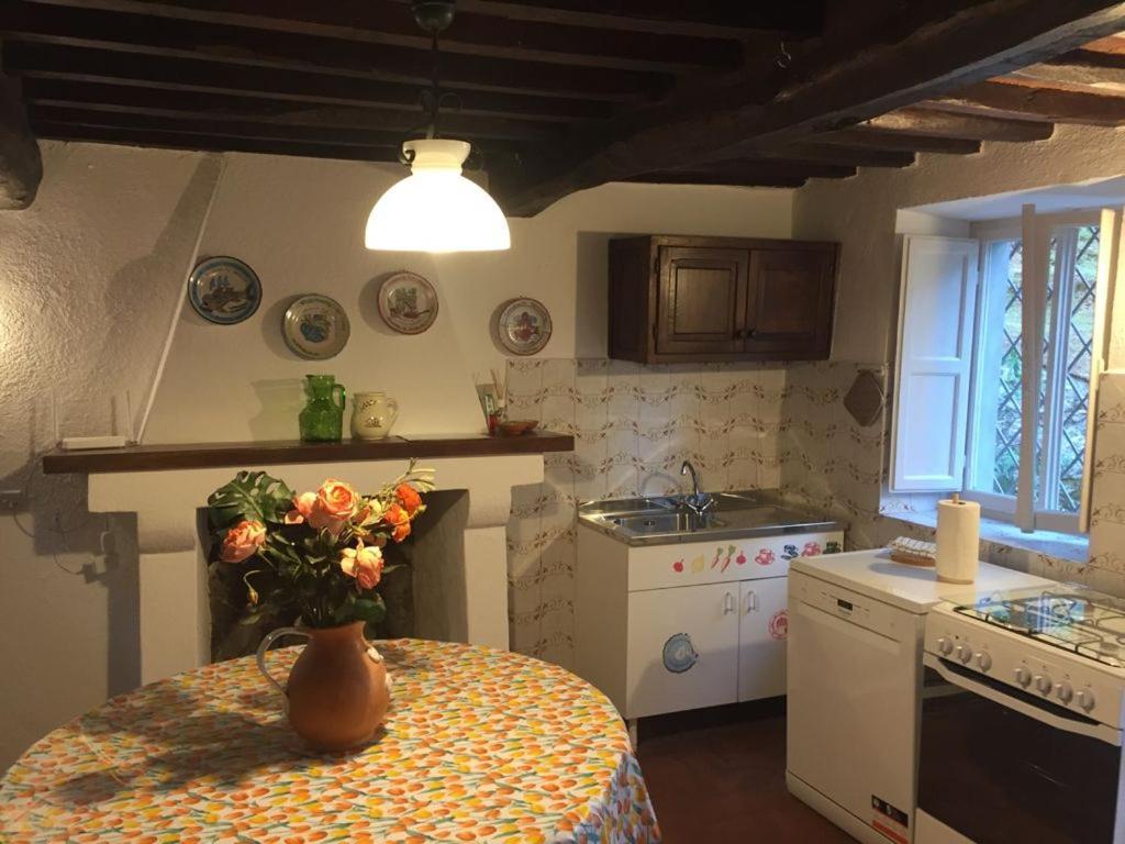 Casa Oliveto Villa Camaiore Dış mekan fotoğraf