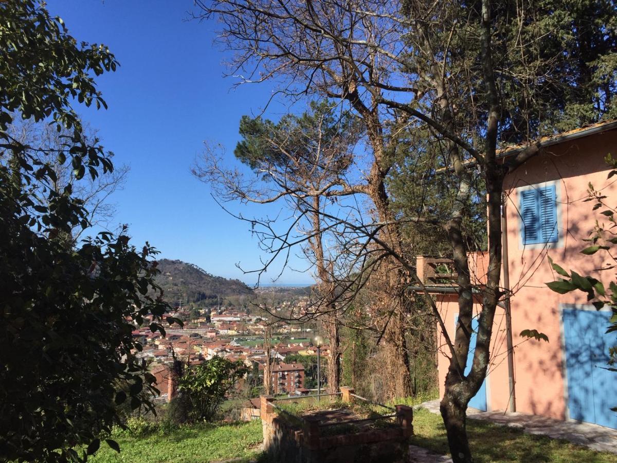 Casa Oliveto Villa Camaiore Dış mekan fotoğraf